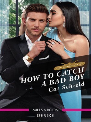 cover image of How to Catch a Bad Boy